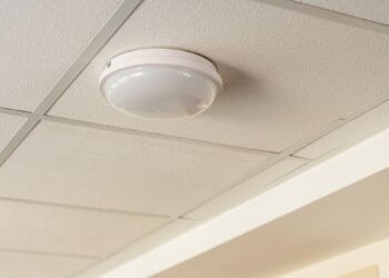 540690582_1076980817923919_4959559513214540102_n